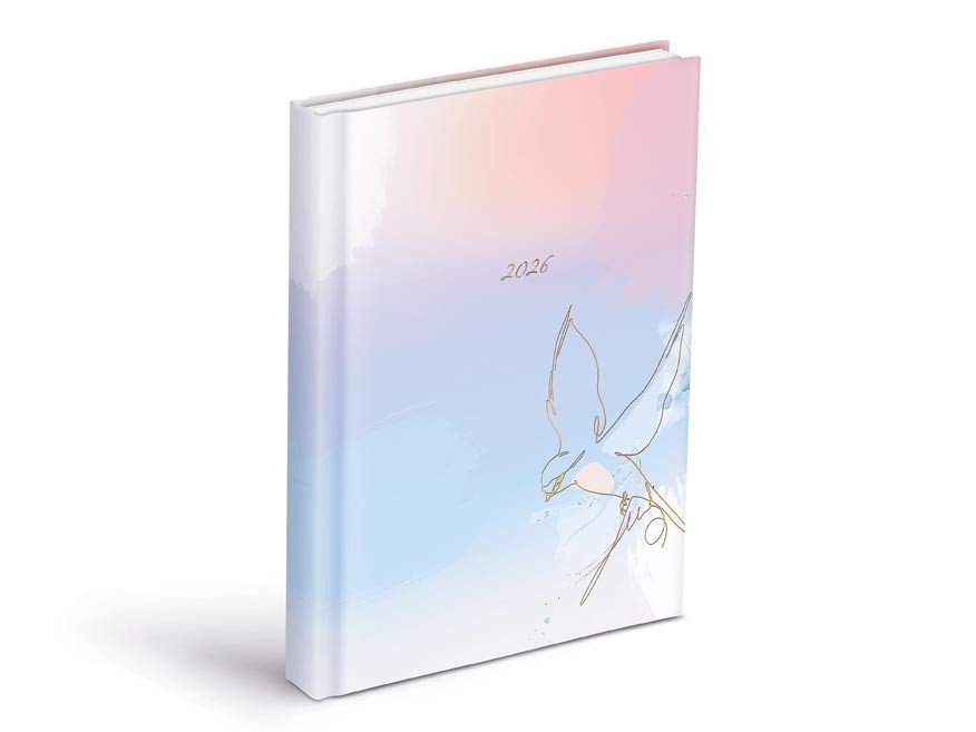 DIÁŘ 2026 DENNÍ D801 LAMINO 1