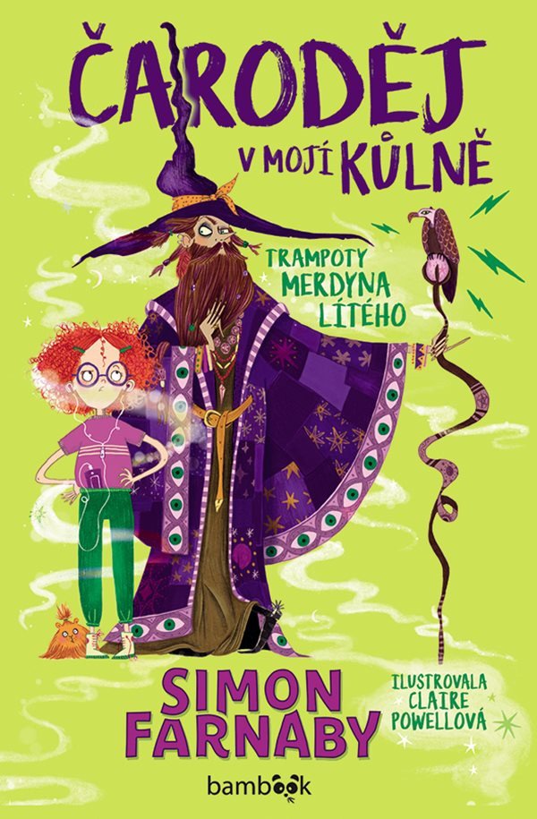 ČARODĚJ V MOJÍ KŮLNĚ