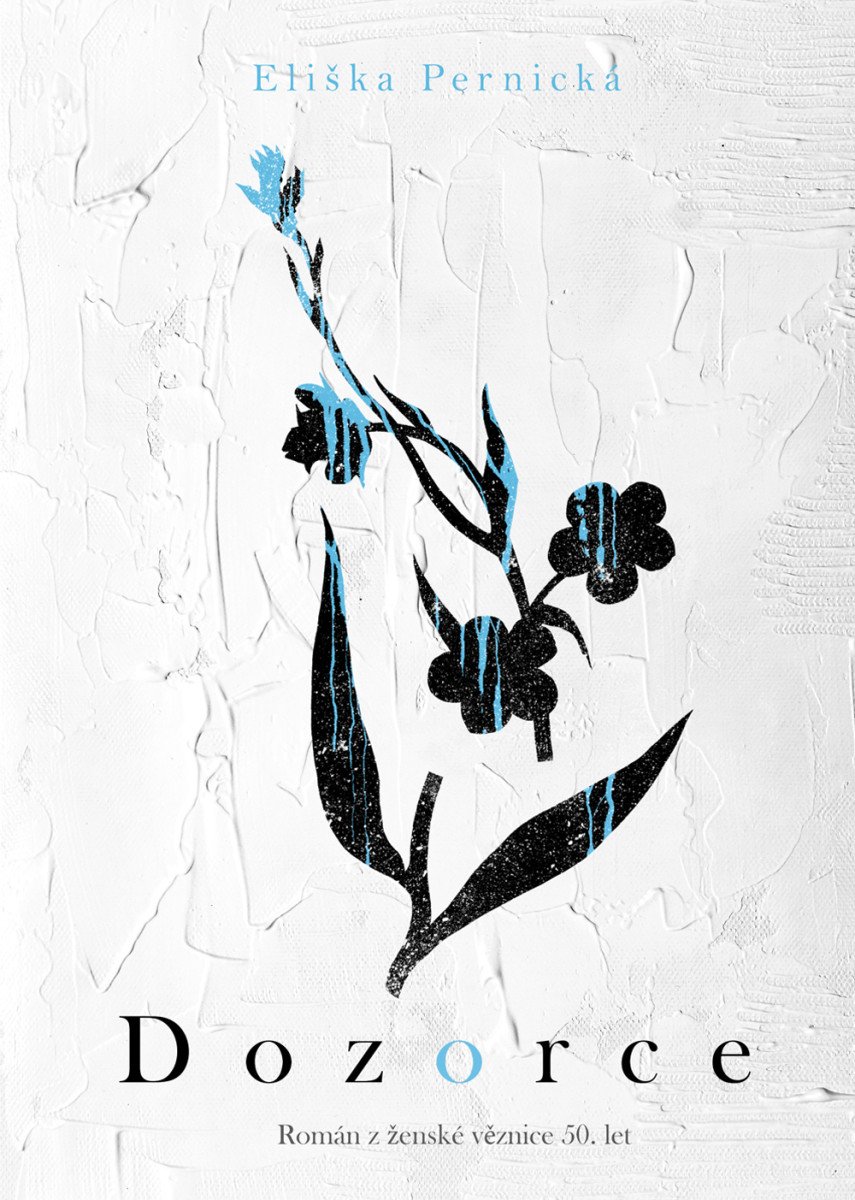 DOZORCE. ROMÁN Z ŽENSKÉ VĚZNICE 50. LET