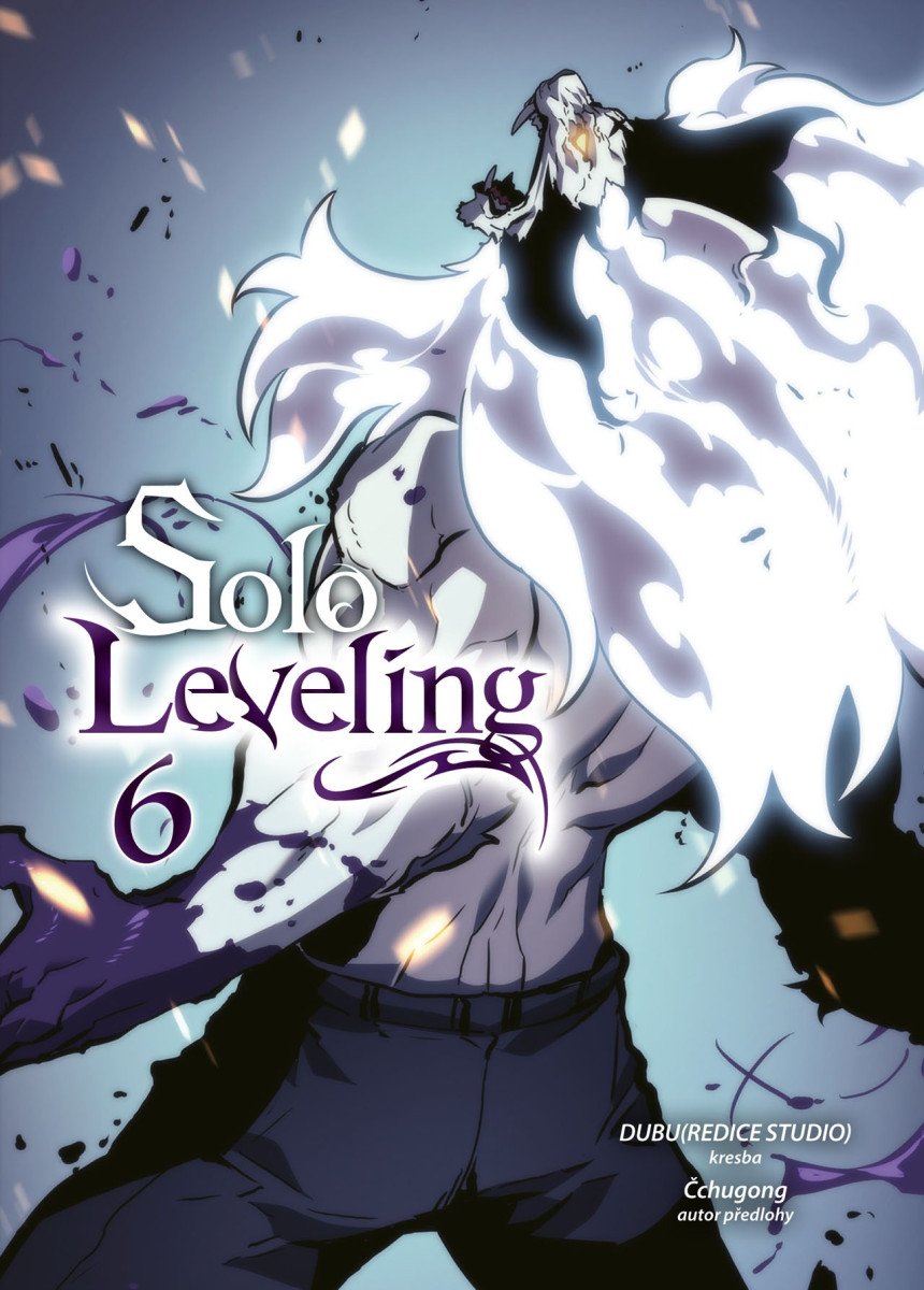 SOLO LEVELING 6