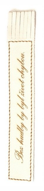 Obálka knihy KOŽENÁ ZÁLOŽKA SE STŘAPCI BEZ HUDBY BY BYL ŽIVOT CHYBOU od autora <br>