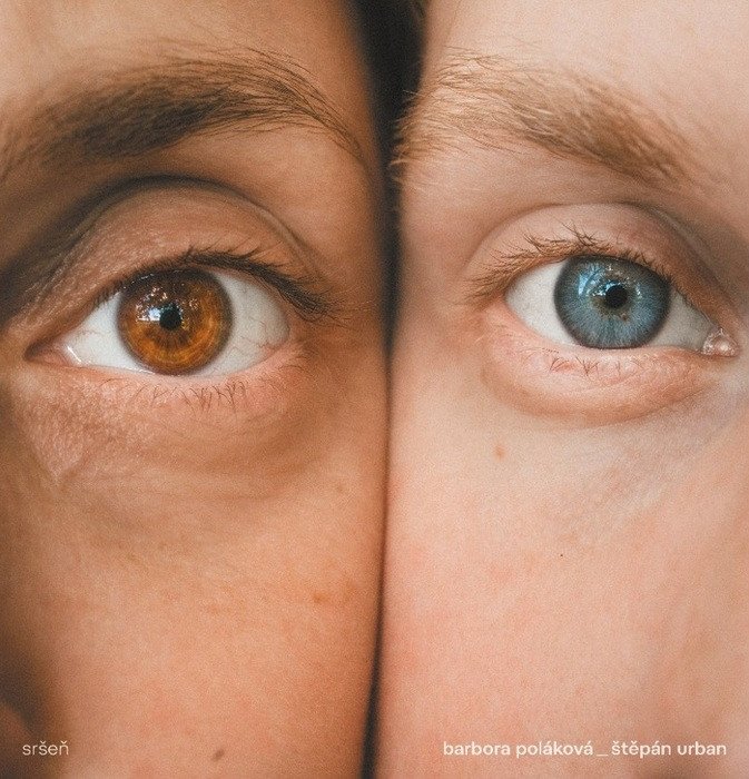 CD POLÁKOVÁ BARBARA - SRŠEŇ - CD