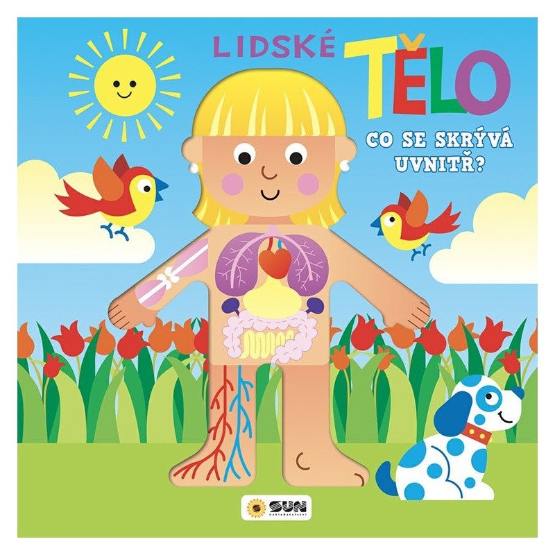 LIDSKÉ TĚLO CO SE SKRÝVÁ UVNITŘ? LEPO