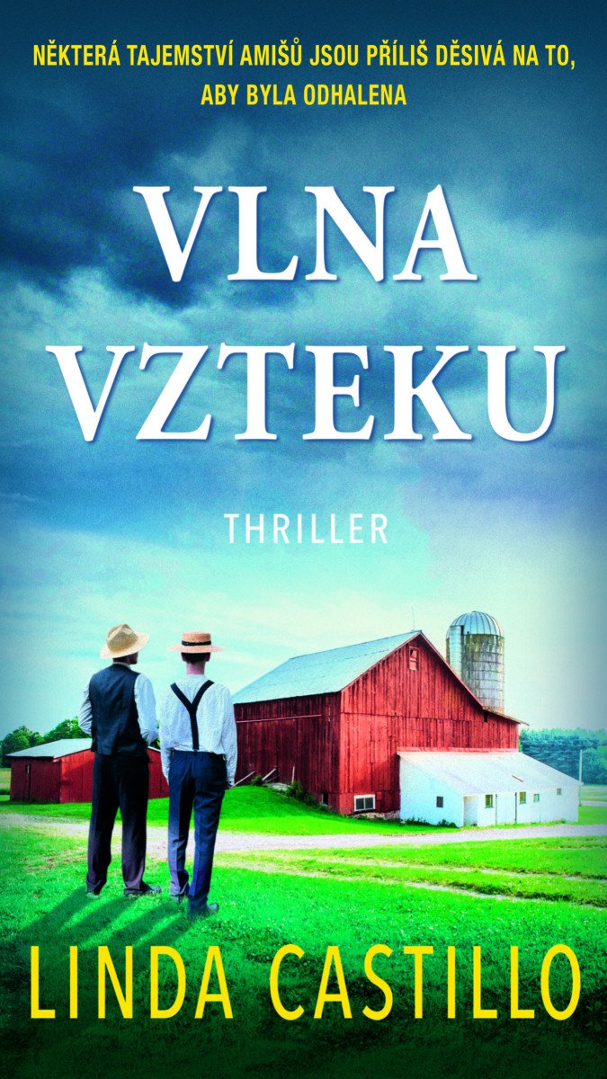 Obálka knihy VLNA VZTEKU (KATE BURKHOLDER 17) od autora Castillo Linda