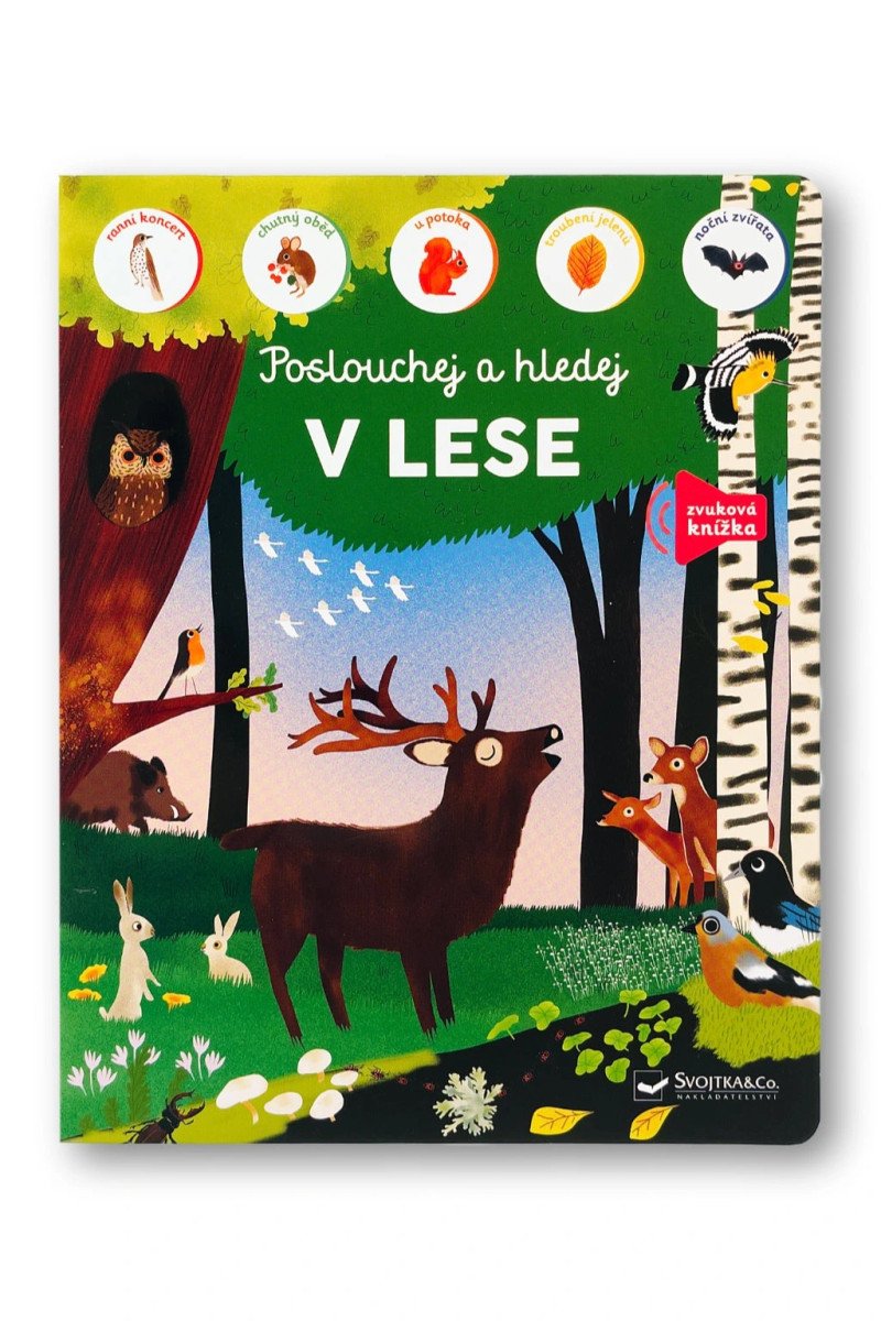 V LESE, POSLOUCHEJ A HLEDEJ