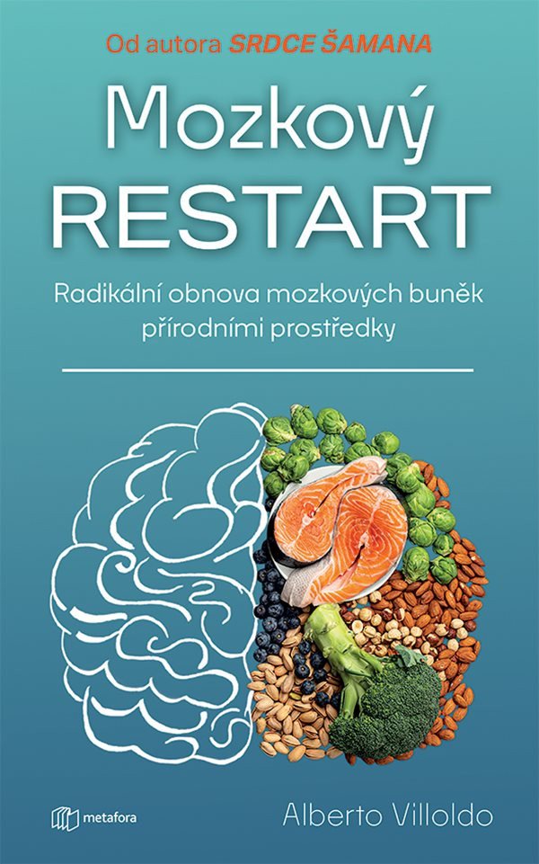 MOZKOVÝ RESTART