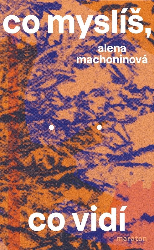 CO MYSLÍŠ,CO VIDÍ