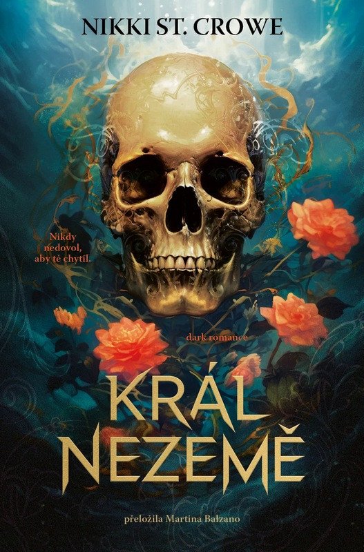 KRÁL NEZEMĚ (VICIOUS LOST BOYS 1)