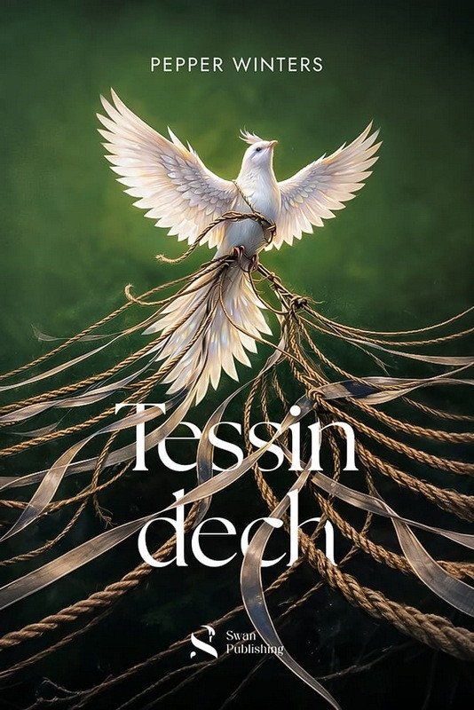 Obálka knihy TESSIN DECH (MONSTERS IN THE DARK 2) od autora Winters Pepper