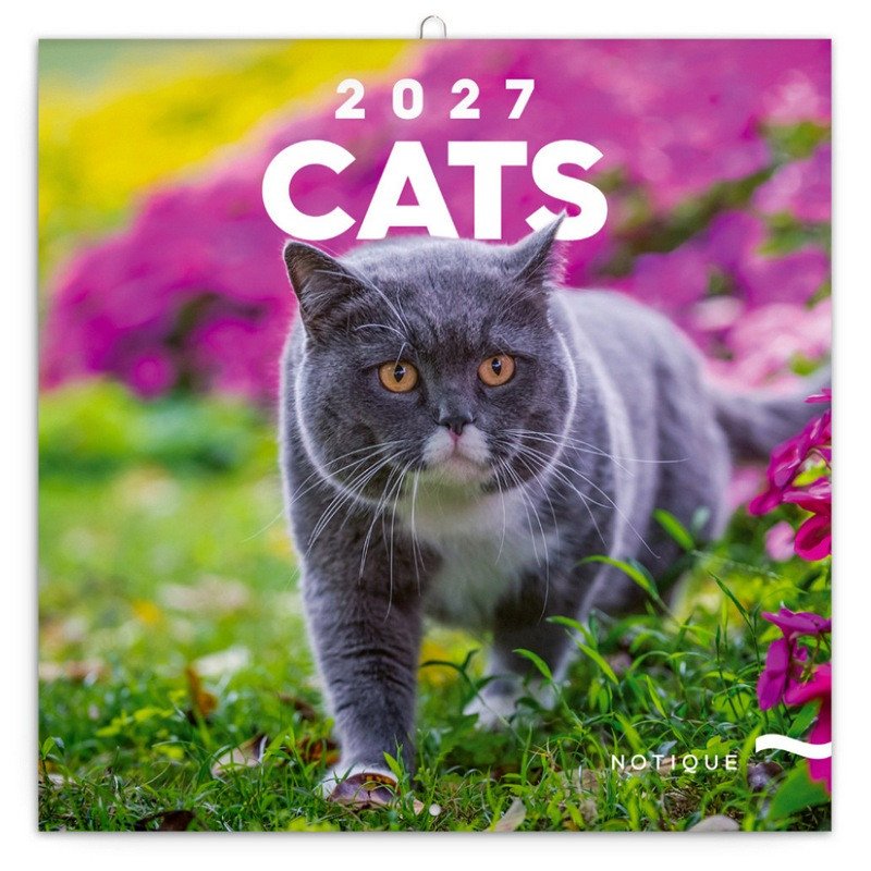 KOČKY 2027 KALENDÁŘ NÁSTĚNNÝ