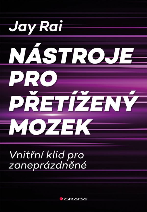 Obálka knihy NÁSTROJE PRO PŘETÍŽENÝ MOZEK od autora Rai Jay