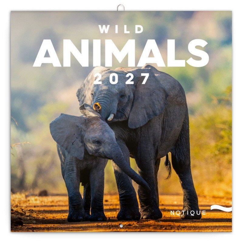DIVOKÁ ZVÍŘATA 2027 KALENDÁŘ NÁSTĚNNÝ