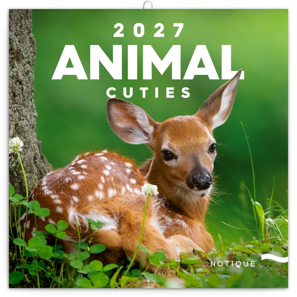 NÁSTĚNNÝ KALENDÁŘ 2027 MLÁĎATA