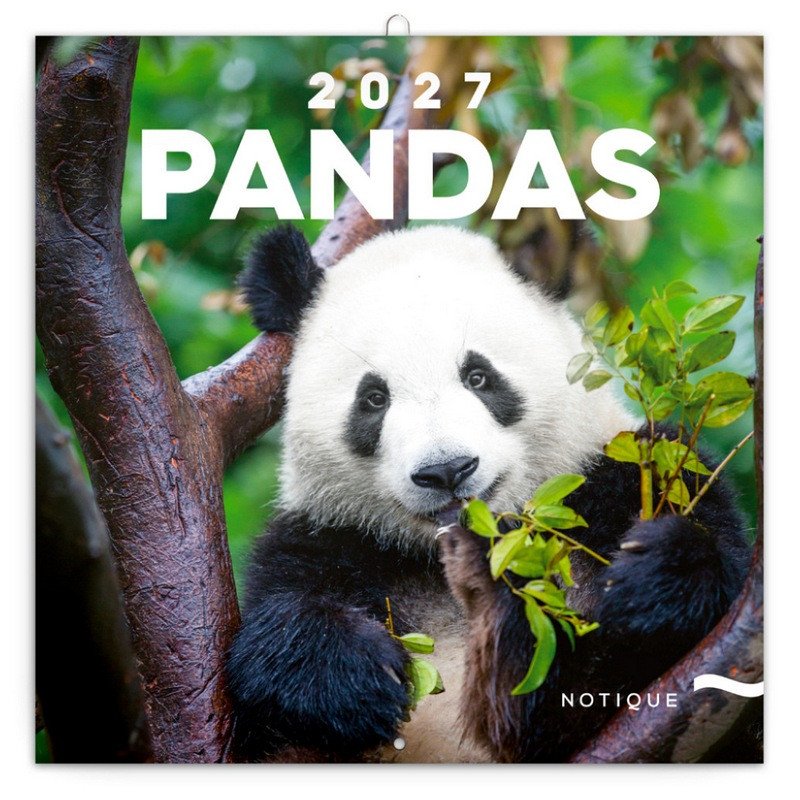 NÁSTĚNNÝ KALENDÁŘ 2027 PANDY