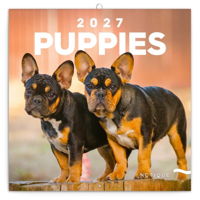 NÁSTĚNNÝ KALENDÁŘ 2027 ŠTĚŇATA