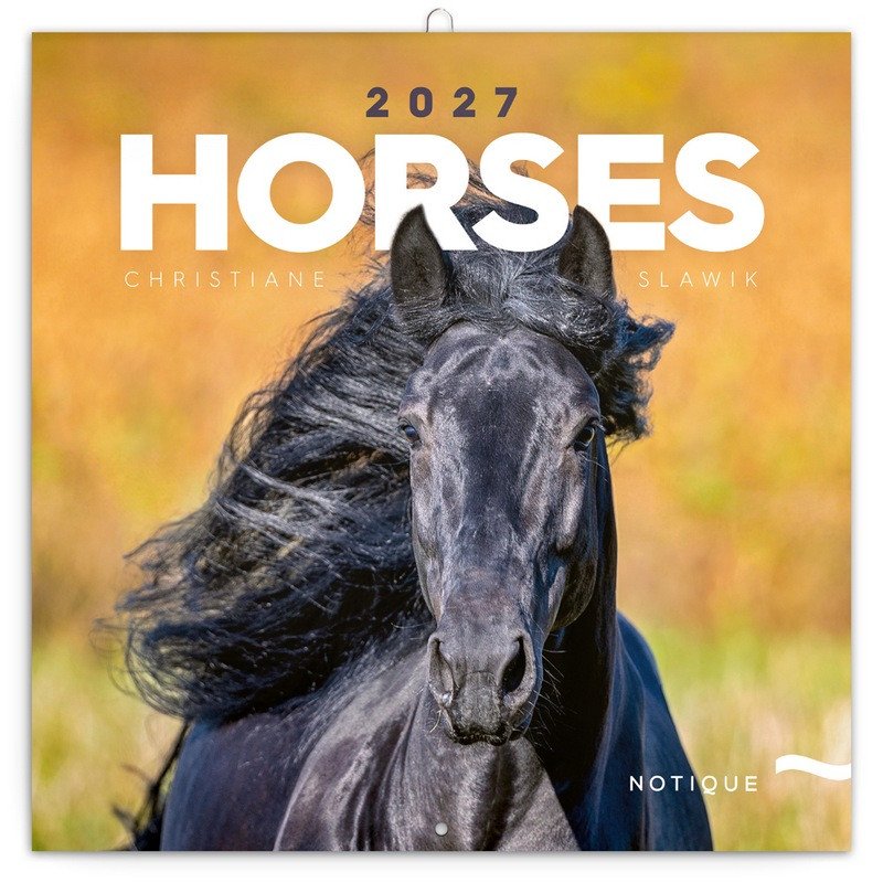 Obálka knihy KALENDÁŘ 2027 POZNÁMKOVÝ KONĚ od autora Slawik Christiane