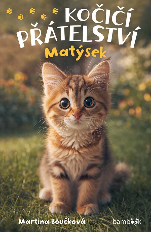 KOČIČÍ PŘÁTELSTVÍ MATÝSEK