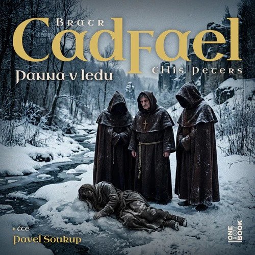 Obálka knihy PANNA V LEDU CD MP3 (AUDIOKNIHA) od autora Petersová Ellis