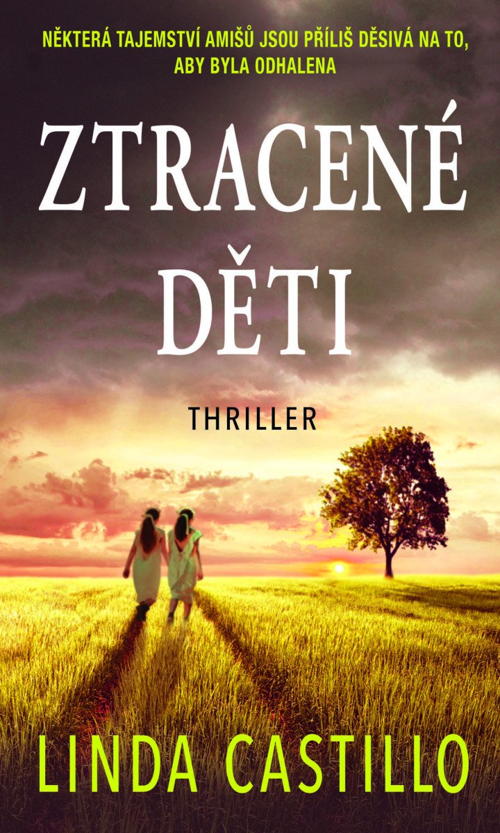 ZTRACENÉ DĚTI (KATE BURKHOLDER 4)