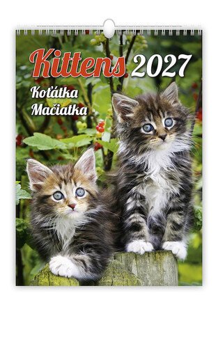 2027 KOŤÁTKA NÁSTĚNNÝ