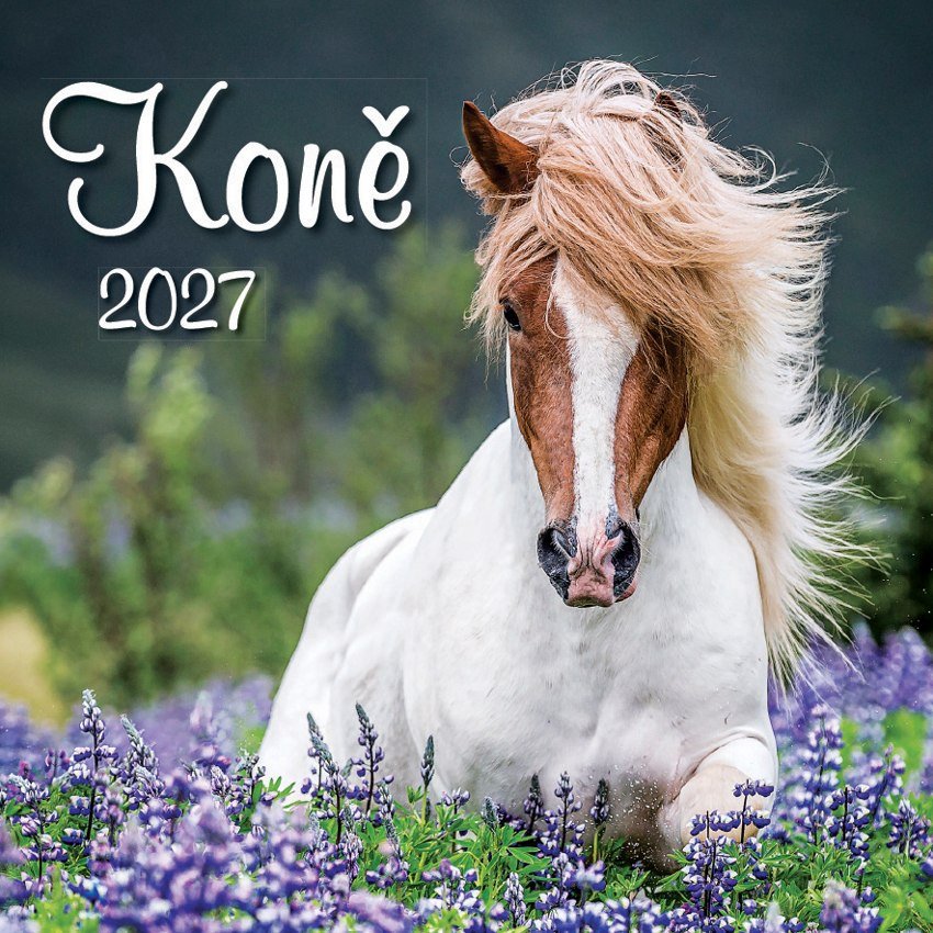 KALENDÁŘ 2027 NÁSTĚNNÝ KONĚ