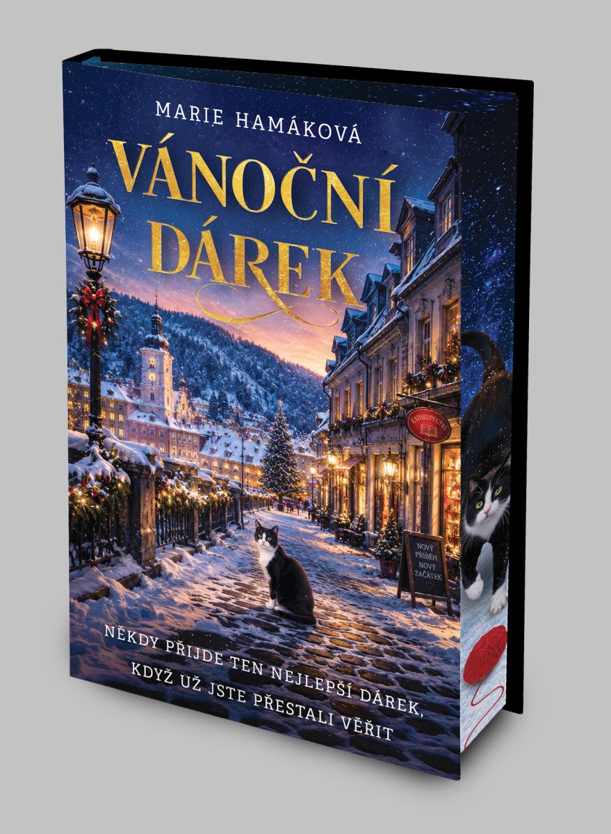 Obálka knihy VÁNOČNÍ DÁREK od autora Hamáková Marie