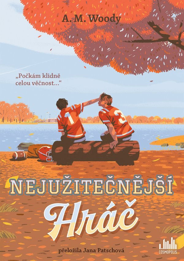 Obálka knihy NEJUŽITEČNĚJŠÍ HRÁČ od autora Woody A.M.