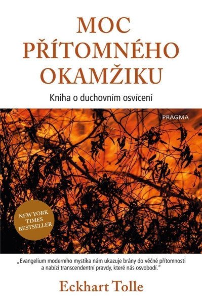 Moc přítomného okamžiku