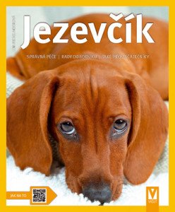 Jezevčík - Jak na to