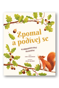 Zpomal a podívej se
